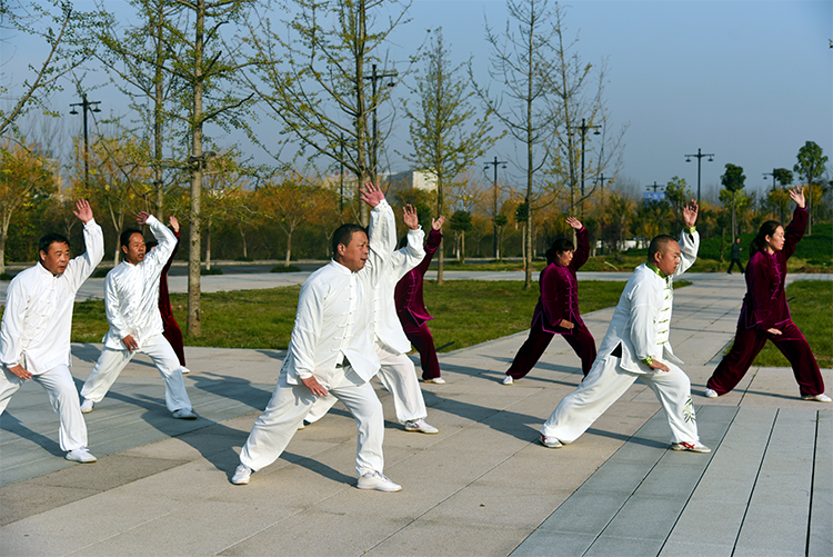 心意六合拳