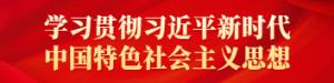 学习贯彻习近平新时代中国特色社会主义思想